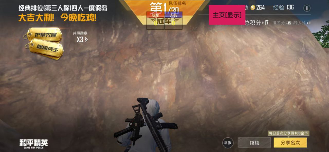 和平精英DDYS辅助